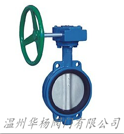 D371X蝸輪對夾式蝶閥