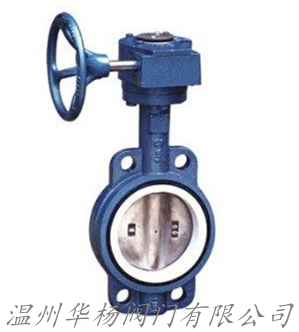 D371F4襯氟對夾式蝶閥