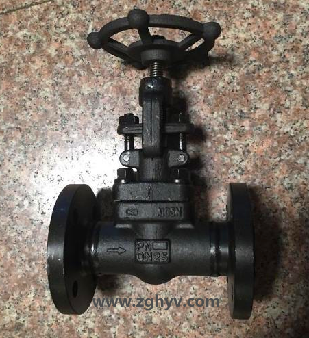 Z41Y鍛鋼法蘭閘閥