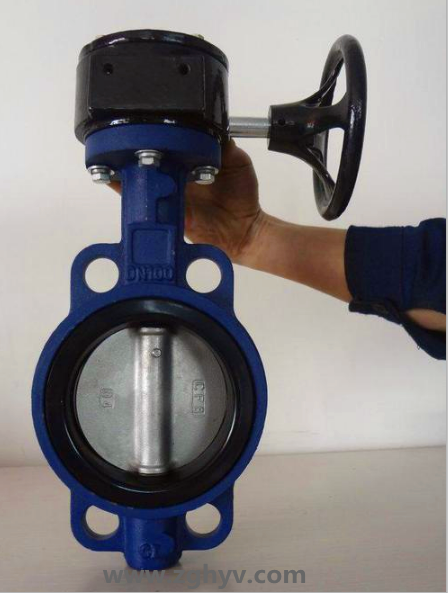 D371X對夾式蝸輪軟密封蝶閥